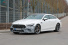 Mercedes-AMG  Erlkönig erwischt: Aktuelle Bilder von AMG GT 4-Türer MoPf und GT 73e mit 800 PS