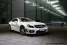 Mercedes-Benz Baureihen: R230: Sportwagen und Roadster - Leistung fast ohne Limit